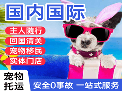 锦州湾机场空运国际宠物托运 【国